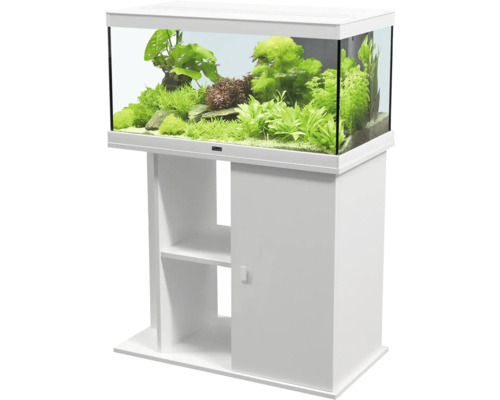 Aquarium avec meuble bas et plantations