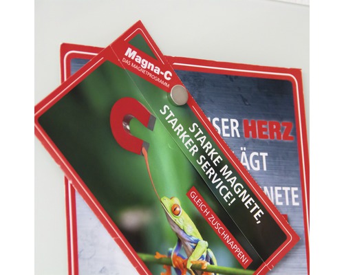 Programme magnétique Magna-C avec motif de grenouille et aimant rond