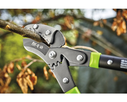 Astschere beim Schneiden eines Astes