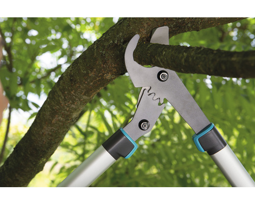 Élagage d''une branche avec un ébrancheur