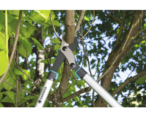 Ebrancheur coupant une branche