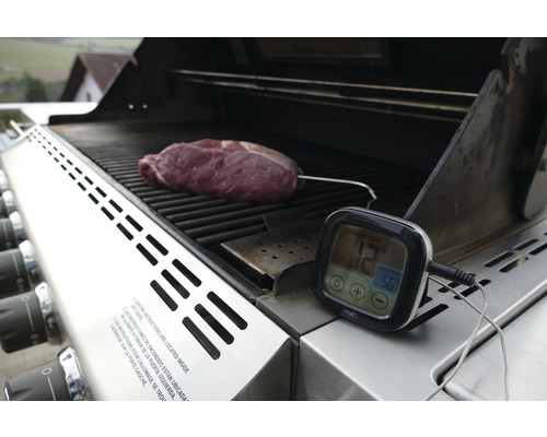 Gril avec viande et thermomètre de barbecue