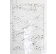 Clou adhésif tesa blanc pour carrelages charge 4 kg 2 pces
