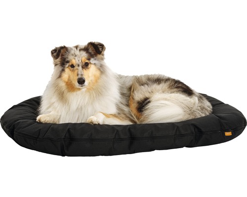 Ein Collie liegt in einem schwarzen, runden Hundebett.