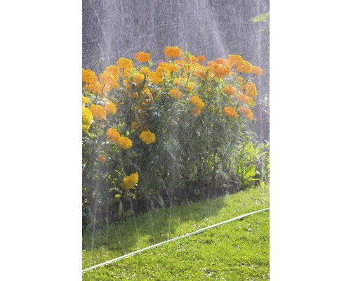 Blumenbeetbewässerung mit Rasensprenger