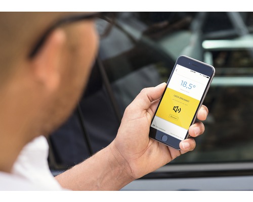 Mann betrachtet Smartphone mit App zur Leckerkennung