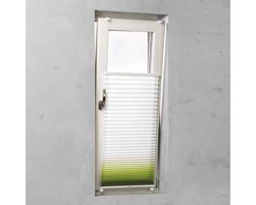 Store plissé sur la fenêtre pour l''ombrage et l''intimité