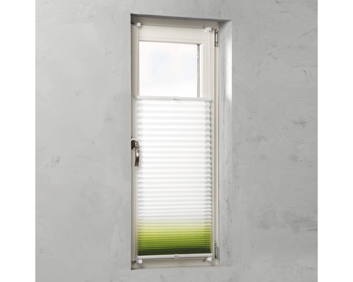 Plissé sur la fenêtre pour réguler la lumière et préserver l''intimité