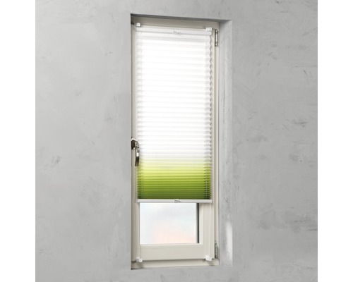 Store plissé Soluna avec guidage latéral, dégradé de couleurs blanc/vert 40x130 cm