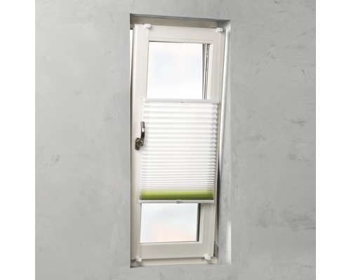 Fenêtre avec store plissé pour l''ombrage