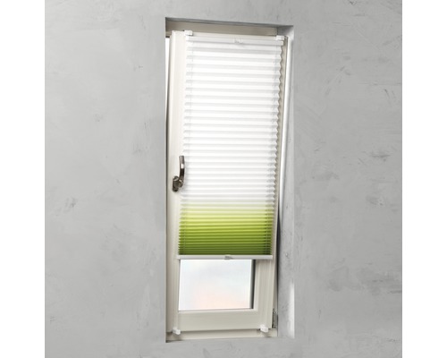 Fenêtre avec store plissé blanc et vert