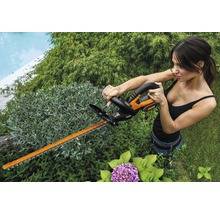 Femme taillant une haie avec un taille-haie à batterie dans le jardin