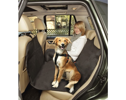 Chien en voiture avec housse de siège auto pour chien et ceinture de sécurité