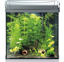 Aquarium Tetra AquaArt Discovery Line 30 l mit LED-Beleuchtung, Filter,  Futter ohne Unterschrank anthrazit - HORNBACH Luxemburg