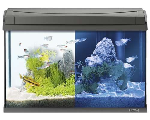 Tetra Aquarium AquaArt LED 60 l anthracite, sans armoire basse