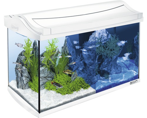 Tetra Aquarium AquaArt LED 60 L blanc, sans armoire basse