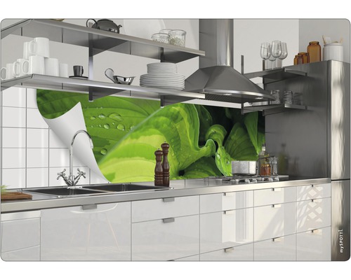 Scène de cuisine avec plan de travail, évier, robinet et crédence avec motif végétal