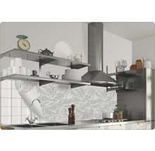 Scène de cuisine avec film de protection contre les éclaboussures, étagères et hotte aspirante.