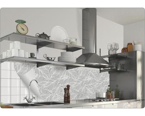 Küchenszene mit Spritzschutzfolie, Regalen und Dunstabzugshaube.