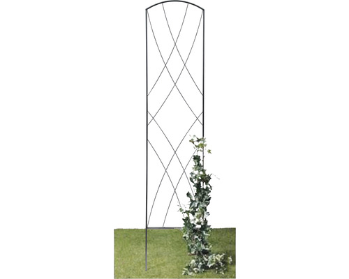 Gartenszene mit Rankhilfe zur Unterstützung von Kletterpflanzen.