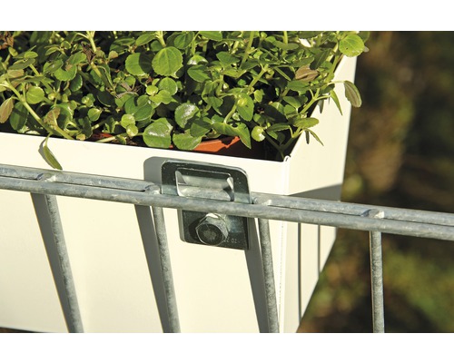 Blumenkasten mit Halterung an einem Metallgitter