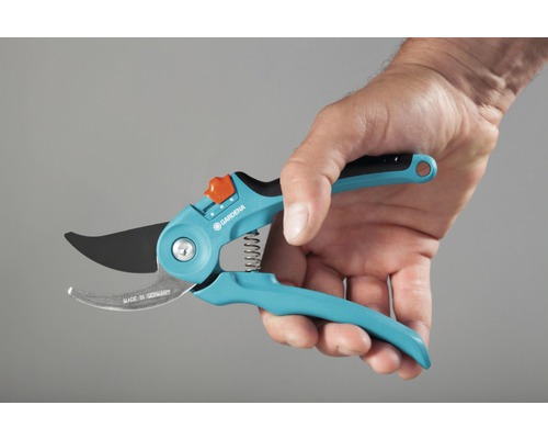 Gartenschere in einer Hand