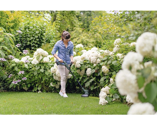 Une femme coupe du gazon avec un coupe-bordures à batterie dans un jardin avec des hortensias