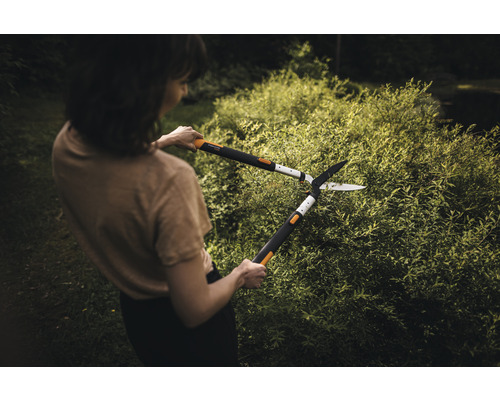 Femme coupant une haie avec un taille-haie
