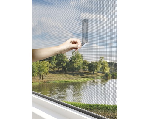 Installation eines Insektenschutzgitters am Fenster