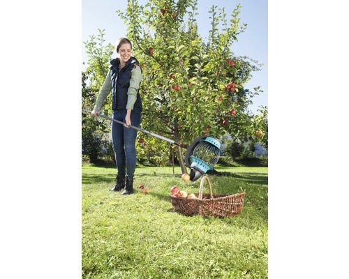 Femme récolte des pommes avec un cueille-fruits et un panier dans le jardin.