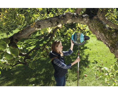 Femme récoltant des fruits avec un cueilleur de fruits sur un arbre dans le jardin
