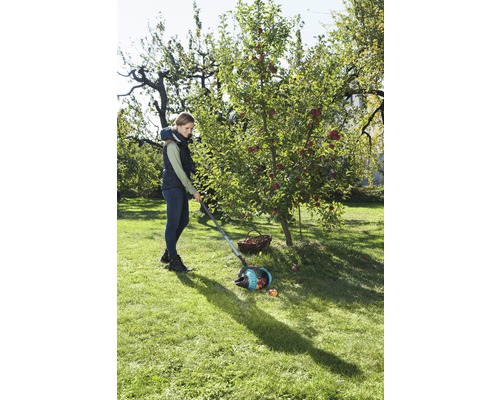 Une femme ramasse des pommes avec un ramasse-pommes dans un jardin.