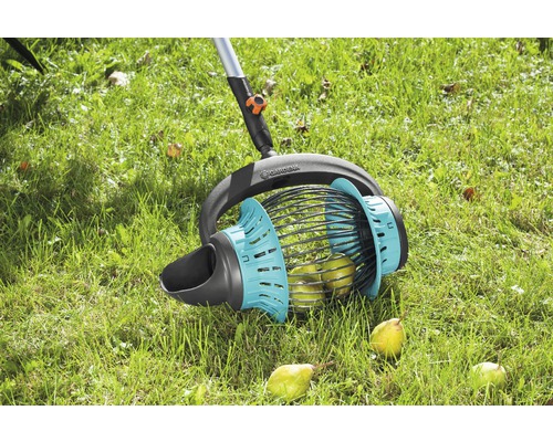 Ramasse-fruits Gardena en utilisation sur une pelouse avec des fruits mûrs.