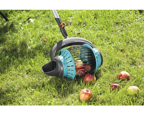 Ramasse-fruits pour ramasser les fruits tombés dans le jardin