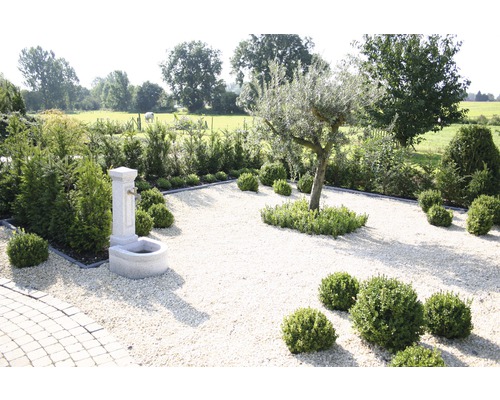 Garten mit Zierkies, Brunnen und Bäumen