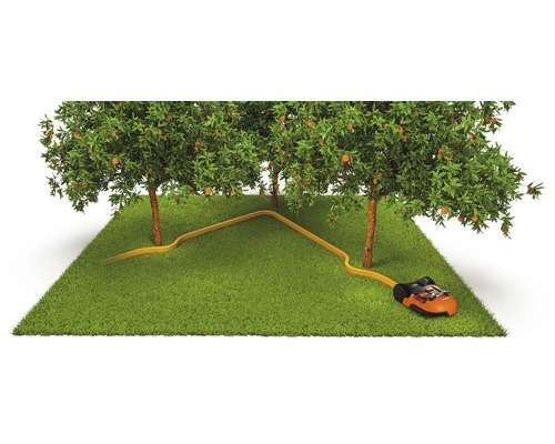 Szene mit Rasenroboter, Begrenzungskabel und Obstbäumen auf Rasen