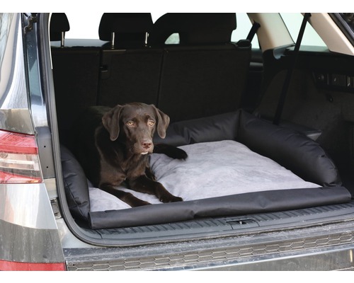 Ein brauner Hund liegt in einem Autositzschutz für Hunde im Kofferraum.