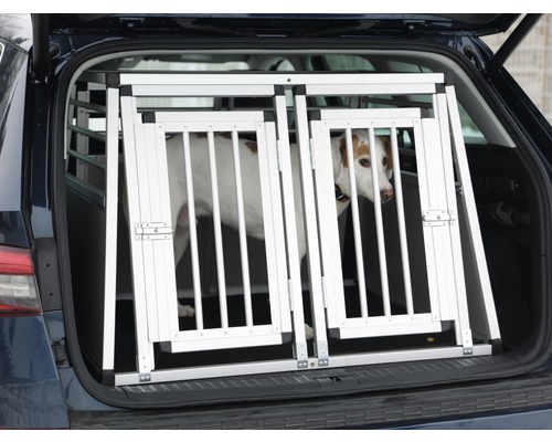 Hund in Aluminium Transportbox im Kofferraum eines Autos