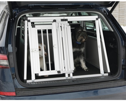 Zwei Hunde in einer Aluminium Hundetransportbox im Kofferraum eines Autos