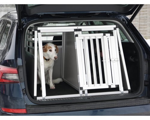 Hund in einer Aluminium Transportbox im Kofferraum eines Autos