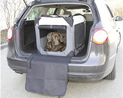 Hund liegt in einer Transportbox im Kofferraum eines Autos
