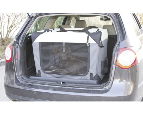 Hond an Transportbox am Kofferraum