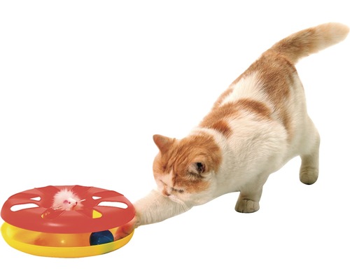 Katze spielt mit interaktivem Katzenspielzeug mit Maus