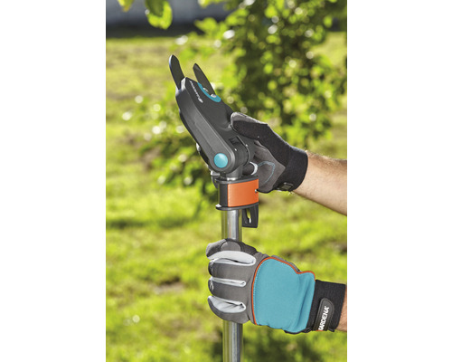 Entretien du jardin : une personne utilise un sécateur à manche.