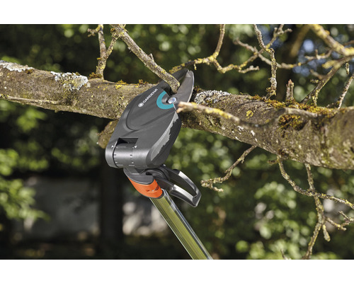 Élagueur Gardena coupant une branche