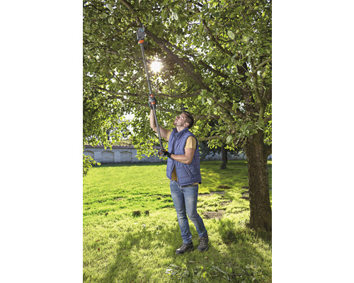 Un homme coupe les branches d''un arbre dans le jardin avec un ébrancheur télescopique.