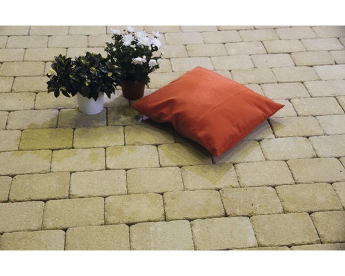 Terrasse gepflastert mit Betonpflastersteinen, Dekokissen und Topfpflanzen