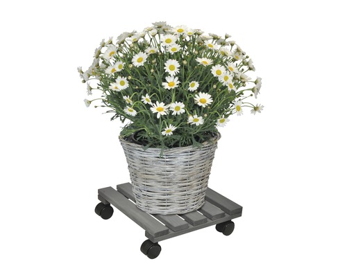 Pâquerettes dans un panier tressé sur un support à roulettes en bois