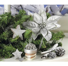 Décoration de Noël avec branches de sapin, étoiles, poinsettia, bâtons de cannelle et pommes de pin