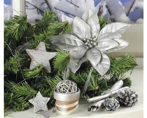 Décoration de Noël avec branches de sapin, étoiles, poinsettia, bâtons de cannelle et pommes de pin